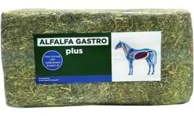 Image de Aliment pour chevaux Alfalfa Gastro PLUS, protection de l'estomac, à l'huile de lin