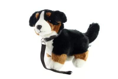Produktbild von Plüschtier - Berner Sennenhund mit Leine 26 cm