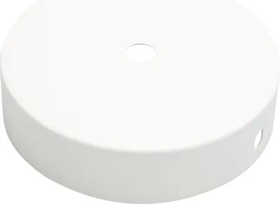 A white ceiling canopy for a lamp.