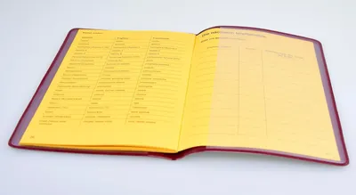 Produktbild von Schutzhülle für Alten Impfpass 210x155mm (offen) Germany - dokumentenecht - mit Buchrücken Impfausweis Impfbuch Hülle Etui Umschlaghülle (Bordeaux)