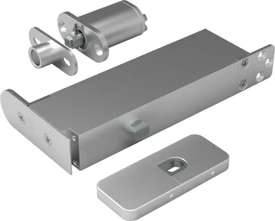 Immagine prodotto di Cerniera per porta Pivotica Pro FM, peso massimo della porta 100 kg, spessore della porta da 40 mm, acciaio inox