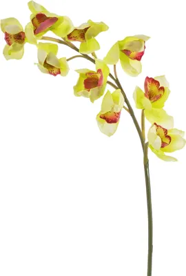 Produktbild von artplants.de Künstlicher Orchideenzweig, real Touch, gelb - grün, 80cm - Cymbidium - Kunstorchidee