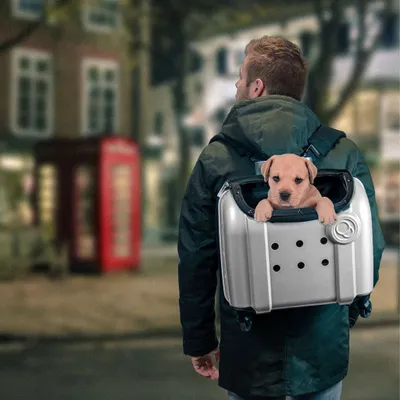 Produktbild von Compaws Haustiertrolley London 40 x 25 x 31 cm