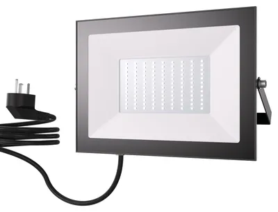 LED-Flutlicht 100 W 6500 K 10.000 lm IP65 mit Stecker