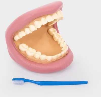 Produktbild von TickiT Giant Teeth Dental Kit pädagogisches Zahnmodell für Kinder