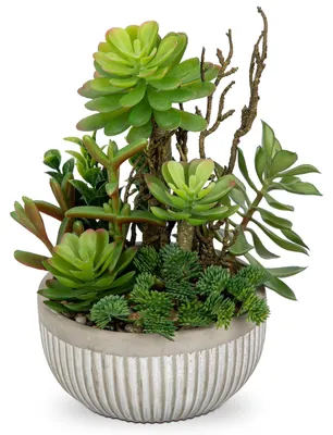 Productafbeelding van Kunstplanten, kunstplanten in pot, kleine kunstplanten, realistische kunstsucculenten, kleine kunstplanten voor woonkamer, slaapkamer, badkamer, decoratieve planten