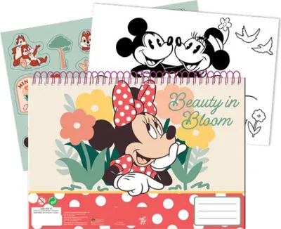 Productafbeelding van Disney Nomadic Spirit A4 spiraalgebonden schetsboek met 40 bladzijden en stickers