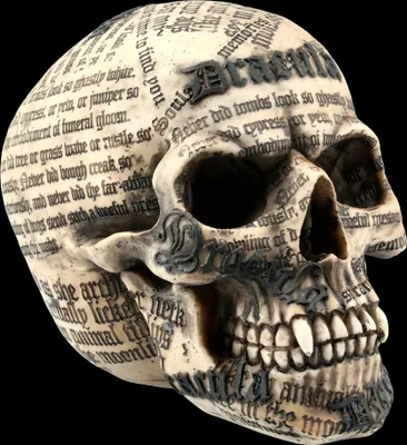 Produktbild von Totenkopf Vampir - Draculas Tale Skull