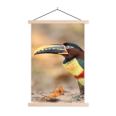 Produktbild von MuchoWow® Textilposter Vogel - Tukan - Federn - Natur 40x60 cm mit holzfarbenen Rahmen - Poster