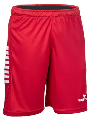 Produktbild von DERBYSTAR Handballshorts Primo Hose v24