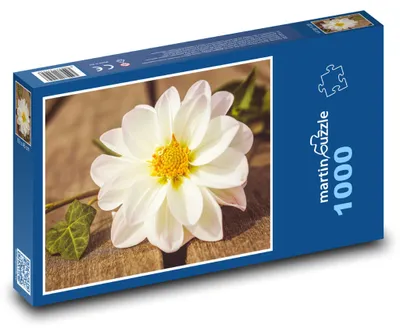 Zdjęcie produktu dla martinpuzzle - Puzzle 1000 - Jiřina - kwiat ogrodowy, kwiat