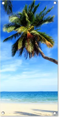 Produktbild von MuchoWow® 40x80 cm Outdoor-Poster Gartendeko Sichtschutz Garten Poster für den Garten  Palmen - Strand - Meer