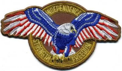 Produktbild von Aufnäher - USA Adler - 04780 - Gr. ca. 11,5 x 6,5 cm - Patches Stick Applikation