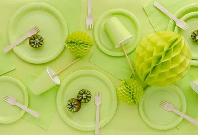 Image de 150 assiettes en carton vertes, diamètre 18 cm
