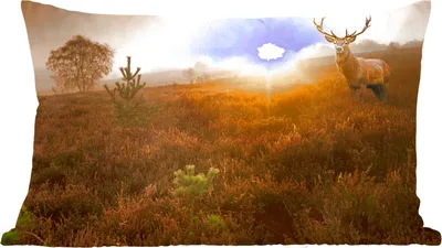 Produktbild von MuchoWow® Zierkissen Sofakissen Wohnzimmer Dekokissen 50x30 cm Hirsche - Nebel - Sonnenuntergang - Wohnzimmerdekoration - Polster mit Photo