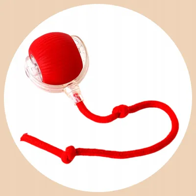 A red ball toy with a string, inside a white circle on a light beige background.