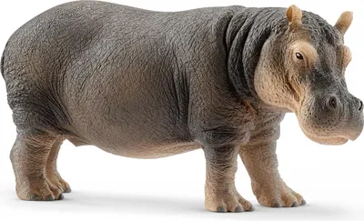 Produktbild von Schleich Flusspferd