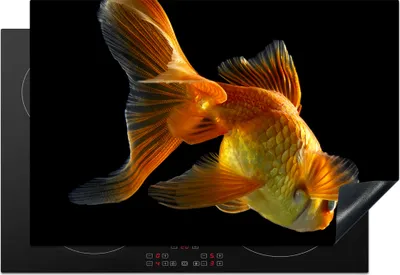 Produktbild von KitchenYeah© Herdabdeckplatte Goldfisch - Tiere - Schwarz , 78x52cm, Küche Deko, Glaskeramikkochfeld Herdabdeckung, Abdeckplatte fùr Kochfeld