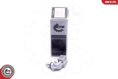 Produktbild von ESEN SKV Ansauglufttemperatursensor 17SKV693 für RENAULT Clio III Schrägheck (BR0/1, CR0/1) 17mm 0,01kg