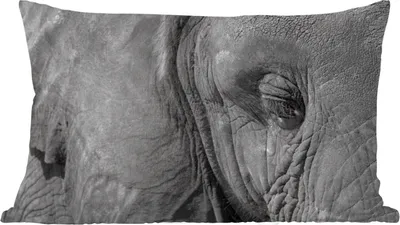 Produktbild von MuchoWow® Zierkissen Sofakissen Wohnzimmer Dekokissen 50x30 cm Elefant - Tiere - Nahaufnahme - Schwarz-Weiß - Wohnzimmerdekoration - Polster mit Photo