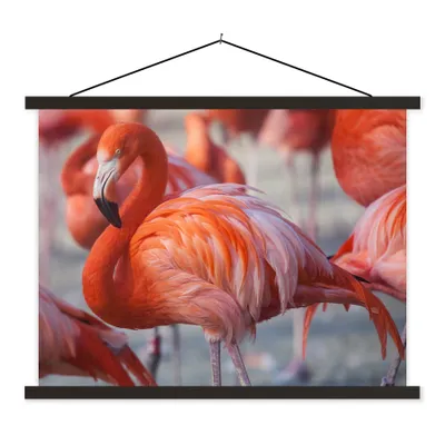 Produktbild von MuchoWow® Textilposter Flamingo - Vogel - Tiere - Rosa 60x45 cm mit schwarzem Rahmen - Poster Schlafzimmer