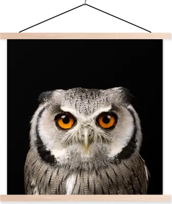 Produktbild von MuchoWow® Textilposter Porträt Eule 40x40 cm mit holzfarbenen Rahmen - Posterleiste