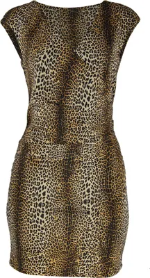 Produktbild von Damen Etuikleid Leo Leopardenmuster