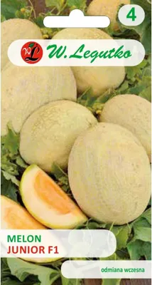 Produktbild von Samen der Melone Junior F1 1g - W.Legutko