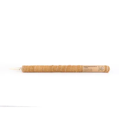 Produktbild von Plantris Kokos-Pflanzenstab 60 cm mit PVC-Stiel – Rankhilfe für Zimmer-, Balkon- und Gartenpflanzen inkl. 8 Metallclips, erweiterbar