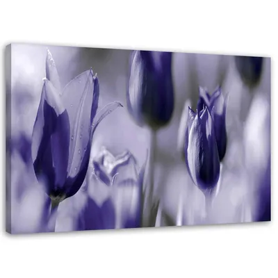 Produktbild von Leinwandbild lila tulpen auf einer wiese 100x70 cm Feeby lila wandbild bereit zum aufhängen