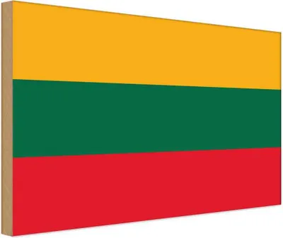 Produktbild von vianmo Holzschild 30x40 cm Litauens Lithuania Flagge Fahne Wappen