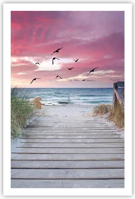 Produktbild von Poster - Poster ohne Rahmen - Strand Sand Vögel - 61x91,5 cm - Wand Bild - Wanddeko - Wandbilder - Kunstposter - Wandposter - Bilder - Kunstdruck - Wanddekoration - Wandbild - P2XPA61x91-4994
