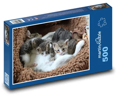 Zdjęcie produktu dla Puzzle 500 Kocięta w koszyku - martinpuzzle