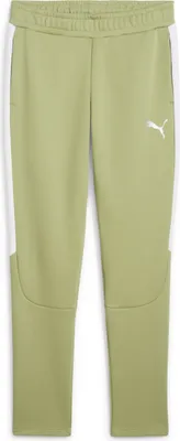 Produktbild von Puma Teamevostripe Sweathose Herren - Olive