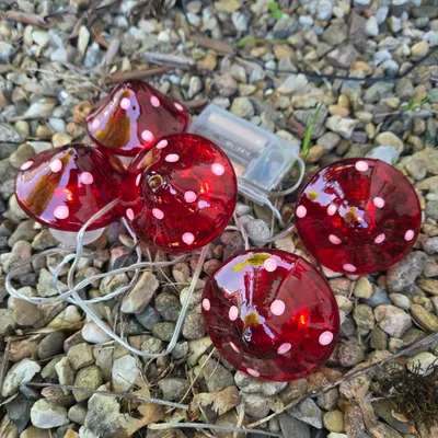 Produktbild von Best Season LED-Lichterkette Fungi 3xAA 36x10x8cm 726-19
