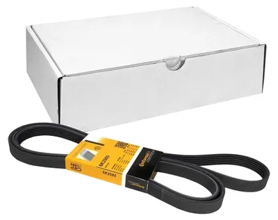 Productafbeelding van 6PK2585 V-geribbelde riem