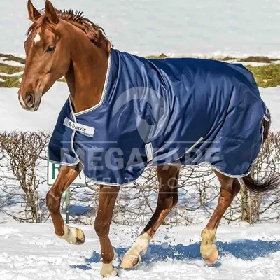 A brown horse wearing a blue blanket runs through the snow.
