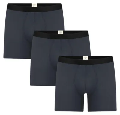 Produktbild von Herren Long Trunkshorts (3er-Pack)