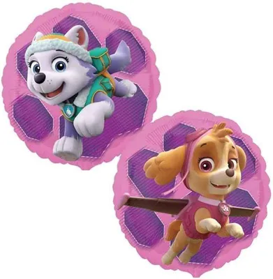 Obrázok produktu pre Fóliový balón Paw Patrol Skye & Everest