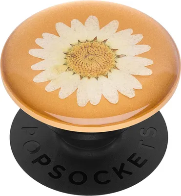 Produktbild von PopSockets Pressed Flower White Daisy, Griffigkeit, Mehrfarbig, Universal, 1 Stück(e), 38,8 mm, 38,8 mm