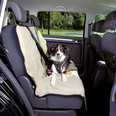 Image de Siège de voiture beige 140 x 120 cm