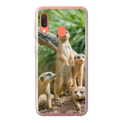 Produktbild von MuchoWow® Handyhülle Schutzhülle Hülle für Samsung Galaxy A20e Familie - Tiere - Erdmännchen Silikon Softcase Handy Hülle - Abdeckung