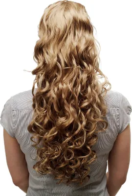 Produktbild von WIG ME UP Zopf, lockig, Blond N310-16