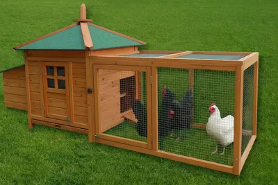 A wooden chicken coop with an attached run, set on a green lawn.