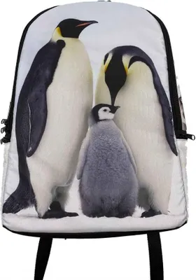 Produktbild von Rucksack Pinguin, 42x28x12 cm, Tier Tiere Pinguine Eyecatcher Rucksäcke Tasche Taschen