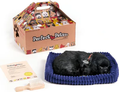 Image de Perfect Petzzz Soft Black Lab