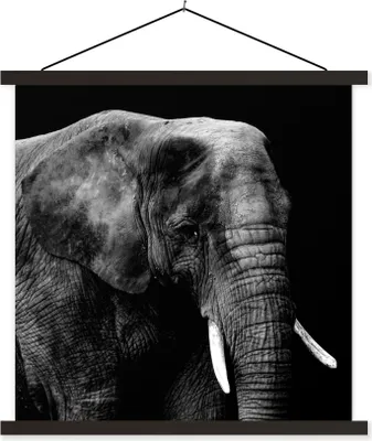 Produktbild von MuchoWow® Textilposter Elefant - Tiere - Schwarz - Weiß 120x120 cm mit schwarzem Rahmen - Aufhängungsset