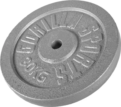 Produktbild von GORILLA SPORTS® Hantelscheiben - 30 kg Gewichte, 30/31 mm, Gusseisen, Silber - Gewichtsscheiben, Bumper Plates