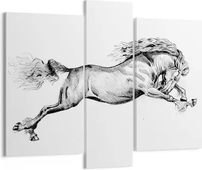 Produktbild von Bild auf Leinwand - Leinwandbild - 3 Teile - Pferd Zeichnung Bleistift - 95x80cm - Wand Bild - Wanddeko - Wandbilder - Leinwanddruck - Bilder - Wanddekoration - Leinwand bilder - CB95x80-4906