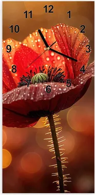 Produktbild von Wanduhr aus Glas mit Motiv Blühende Mohnblume- 30 x 60 cm - inkl. Aufhängesystem